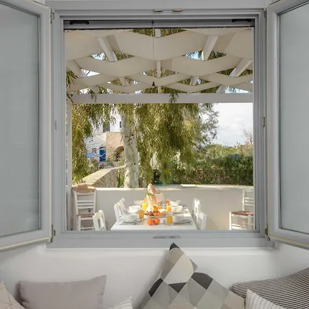 Callistemon Sztelída