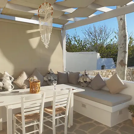 Callistemon Sztelída