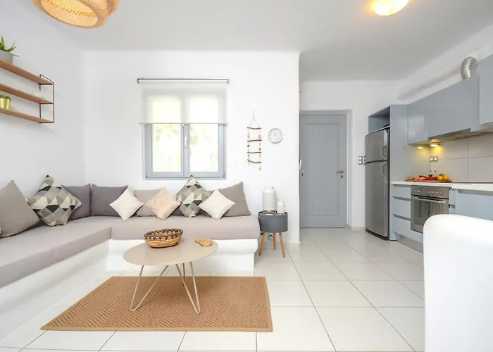 Callistemon Sztelída