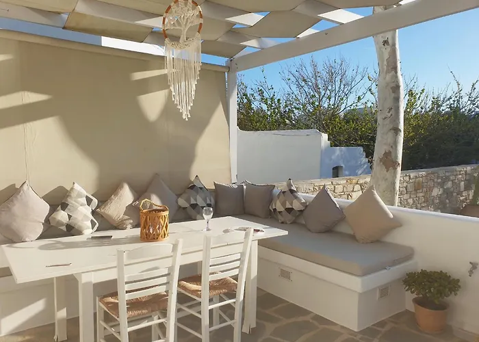 Callistemon Sztelída