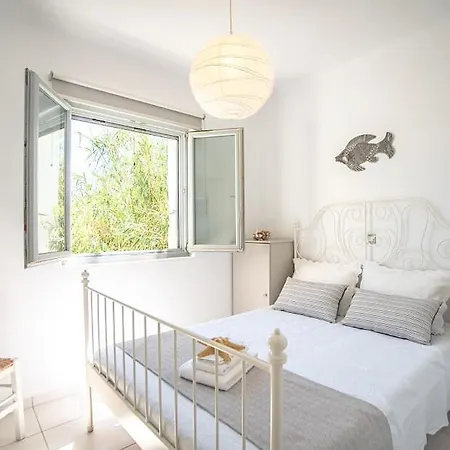 Callistemon Villa