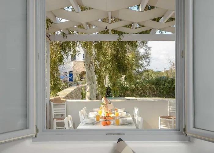 Callistemon Stelida (Naxos)